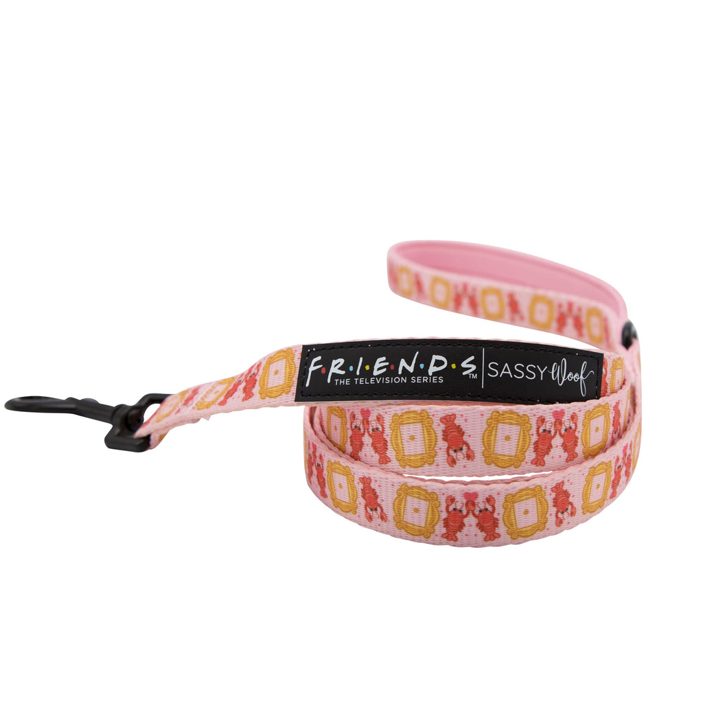 Lobster Friends Dog Leash