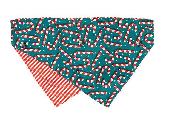 FuzzYard Bandana Candy Cane Green