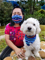 Midnight Train Dog Bandana