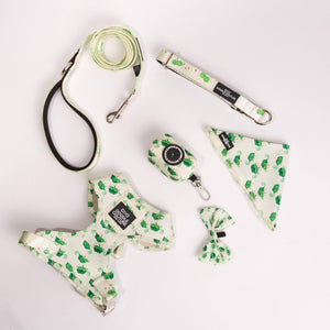 Two Peas in a Pod Dog Gift Set
