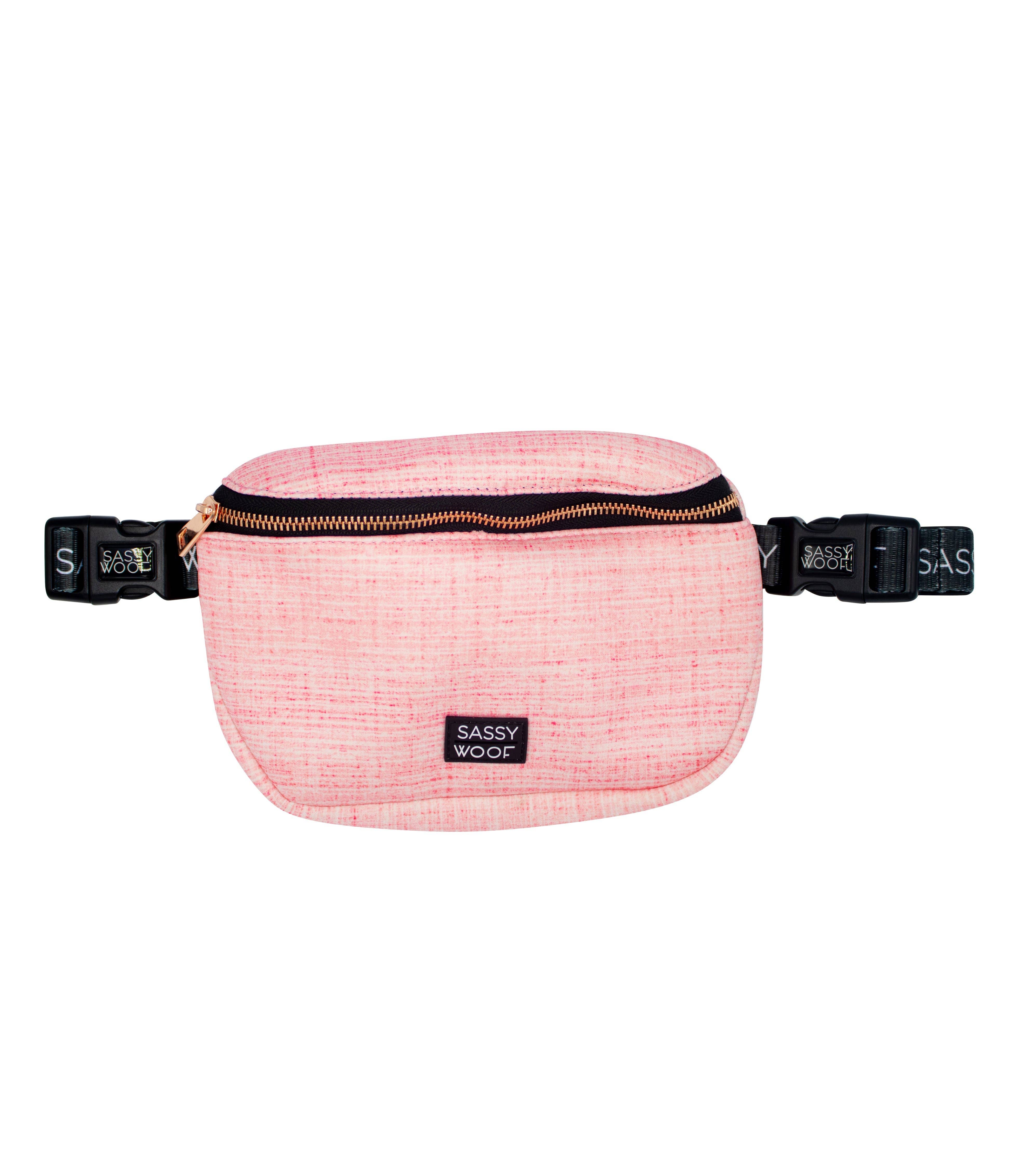Dolce Rose  Dog Treat Pouch