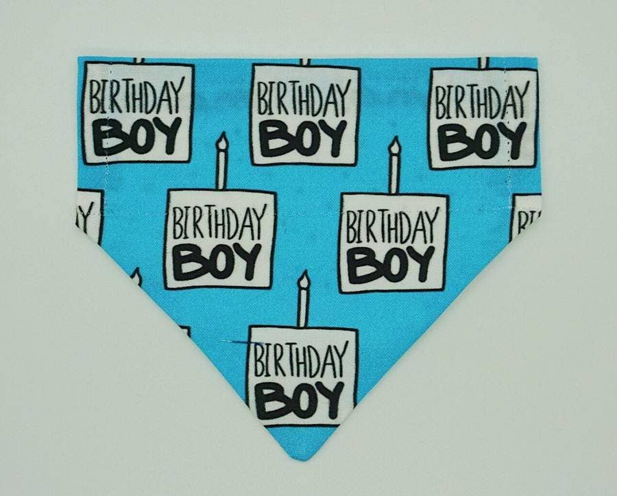 Birthday Boy Reversible Bandana