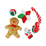 Toy Filled Christmas Dog Stocking Gift Set