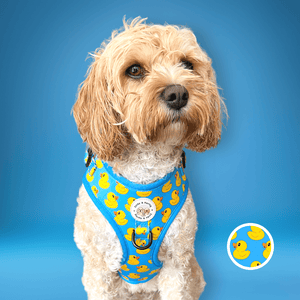 Rubber Duckie No Pull Adjustable Dog Harness