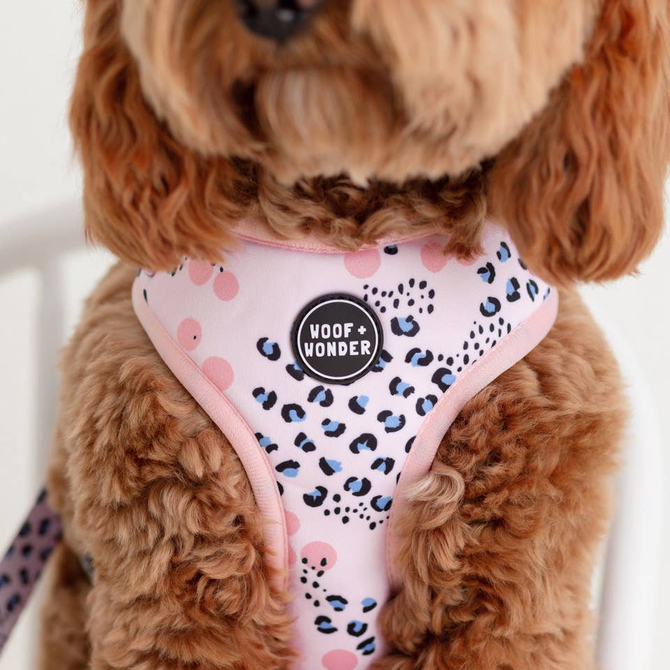 Pink and Periwinkle Leopard Print Adjustable Dog Harness