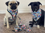 The Attitude Collection: Graffiti Edition Dog and Cat Bow-Tie