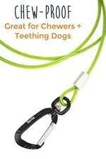 6' Chew Proof Cable Leash